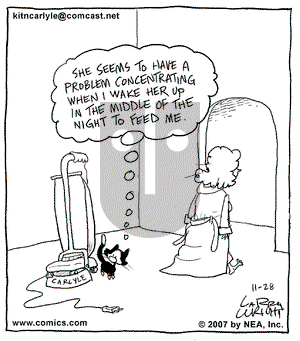 Kit 'N' Carlyle on Wednesday November 28, 2007 Comic Strip