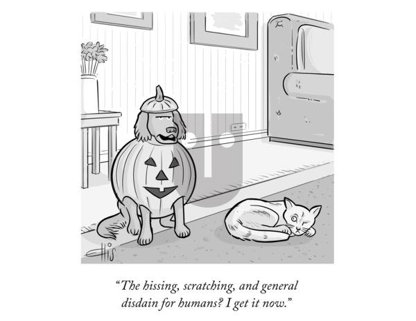 Junk Drawer on Friday October 31, 2025 Comic Strip