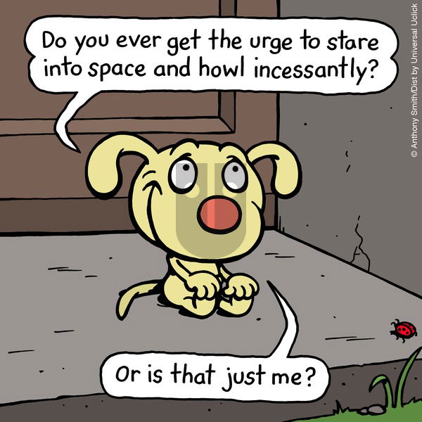 Cattitude — Doggonit on Sunday May 25, 2025 Comic Strip