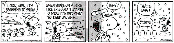 Peanuts on Wednesday December 19, 1979 Comic Strip