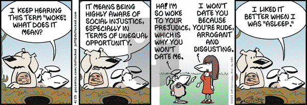 DeFlocked on Friday April 25, 2025 Comic Strip