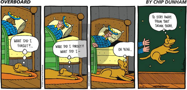 Overboard on Sunday October 27, 2002 Comic Strip