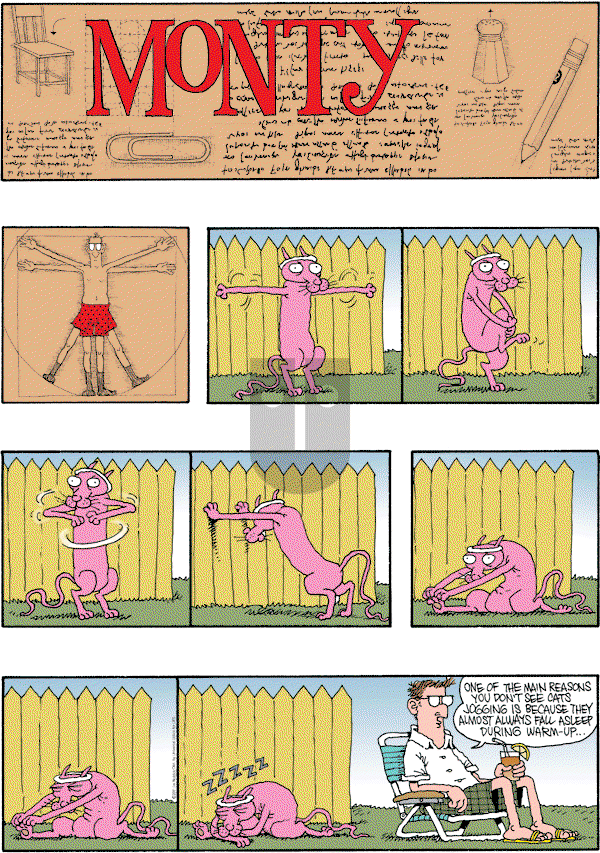 Monty - Sunday July 3, 2011 Comic Strip