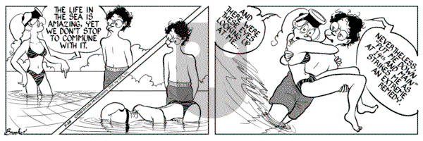 9 Chickweed Lane on Wednesday May 28, 2003 Comic Strip