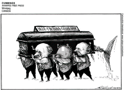 ViewsAsia on Thursday March 18, 2010 Comic Strip