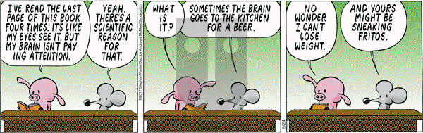 Pearls Before Swine on Wednesday May 24, 2017 Comic Strip