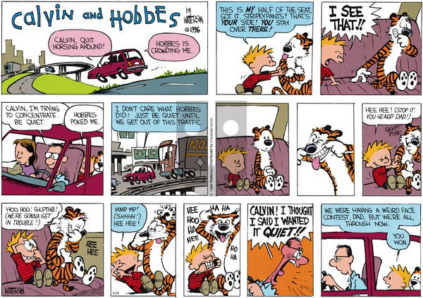 Calvin and Hobbes - Sunday June 26, 2016 Comic Strip