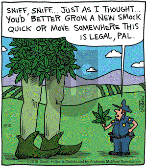 The Argyle Sweater on Tuesday June 19, 2018 Comic Strip