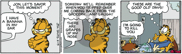 Garfield on Sunday February 25, 2001 Comic Strip