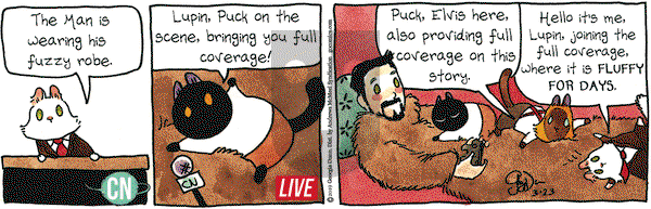 Breaking Cat News on Saturday March 23, 2019 Comic Strip