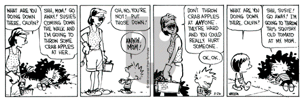 Calvin and Hobbes on Saturday August 26, 1989 Comic Strip