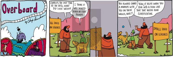 Overboard on Sunday March 17, 2013 Comic Strip