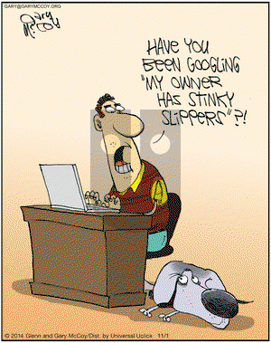 The Flying McCoys on Saturday November 1, 2014 Comic Strip