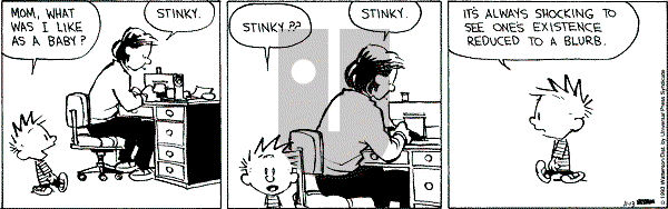 Calvin and Hobbes - Saturday November 13, 1993 Comic Strip