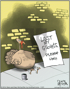 The Flying McCoys on Friday November 21, 2014 Comic Strip
