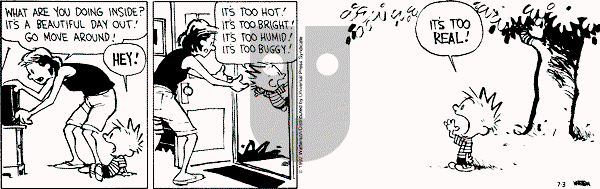 Calvin and Hobbes - Friday July 3, 1992 Comic Strip