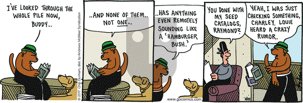 Overboard on Saturday February 25, 2017 Comic Strip