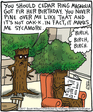 The Argyle Sweater on Friday January 20, 2017 Comic Strip