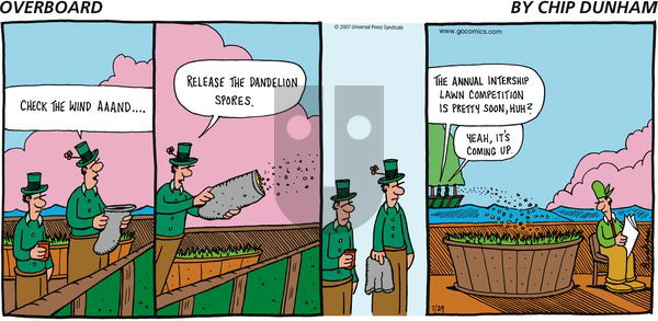 Overboard on Sunday July 29, 2007 Comic Strip