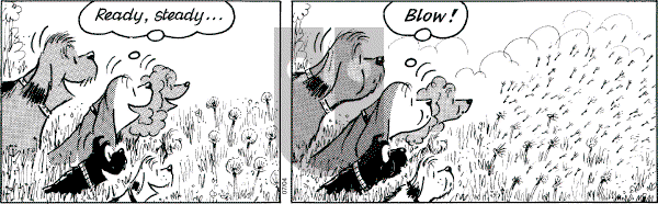 Fred Basset - Friday July 4, 2003 Comic Strip