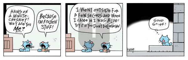Ten Cats - Saturday November 30, 2024 Comic Strip