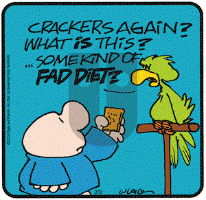 Ziggy on Saturday February 7, 2009 Comic Strip