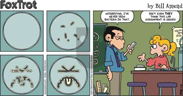 FoxTrot on Sunday February 26, 2017 Comic Strip