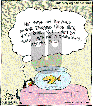 Kit 'N' Carlyle on Tuesday May 11, 2010 Comic Strip