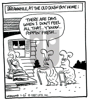 Reality Check on Friday January 31, 1997 Comic Strip