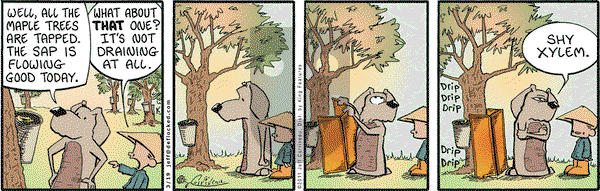 DeFlocked on Saturday March 19, 2011 Comic Strip