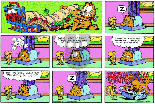 Garfield on Sunday August 30, 1992 Comic Strip