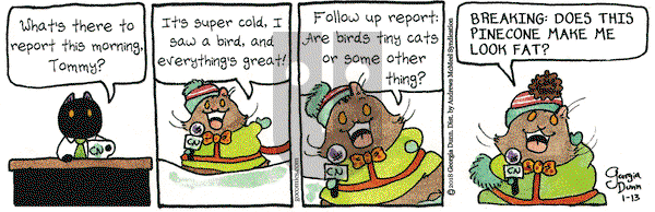 Breaking Cat News on Saturday January 13, 2018 Comic Strip