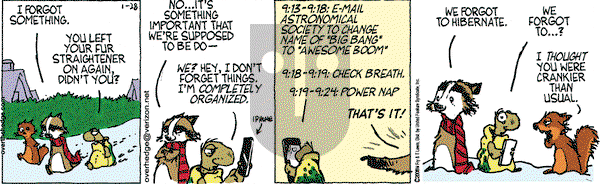 Over the Hedge on Monday January 28, 2008 Comic Strip