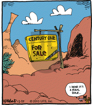 Reality Check on Monday December 27, 2010 Comic Strip