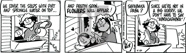 Rose is Rose on Wednesday April 20, 1988 Comic Strip