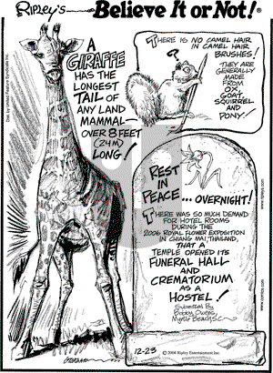 Ripley's Believe It or Not on Saturday December 23, 2006 Comic Strip
