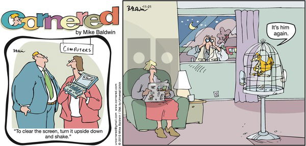 Cornered on Sunday November 21, 2010 Comic Strip