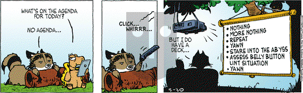 Over the Hedge on Friday May 30, 2025 Comic Strip