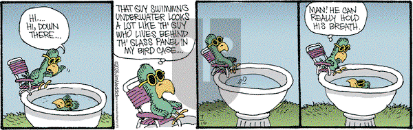 Monty on Thursday July 10, 2025 Comic Strip
