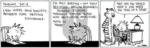 Calvin and Hobbes on Thursday June 24, 1993 Comic Strip