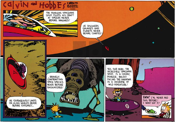 Calvin and Hobbes on Sunday December 13, 1992 Comic Strip