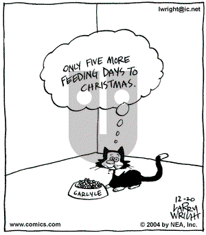 Kit 'N' Carlyle on Monday December 20, 2004 Comic Strip