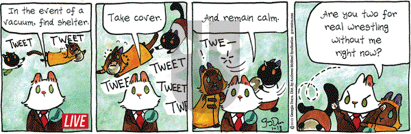 Breaking Cat News on Friday January 18, 2019 Comic Strip