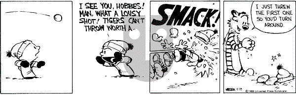Calvin and Hobbes - Friday December 29, 1989 Comic Strip