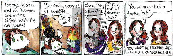 Breaking Cat News - Saturday November 12, 2022 Comic Strip