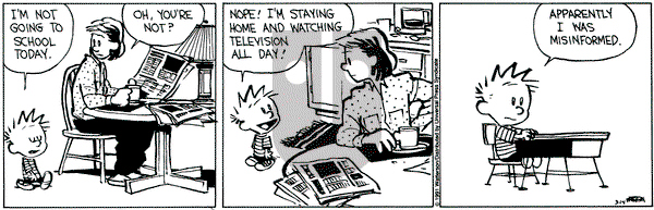 Calvin and Hobbes on Thursday March 14, 1991 Comic Strip