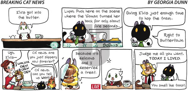 Breaking Cat News on Sunday January 31, 2021 Comic Strip