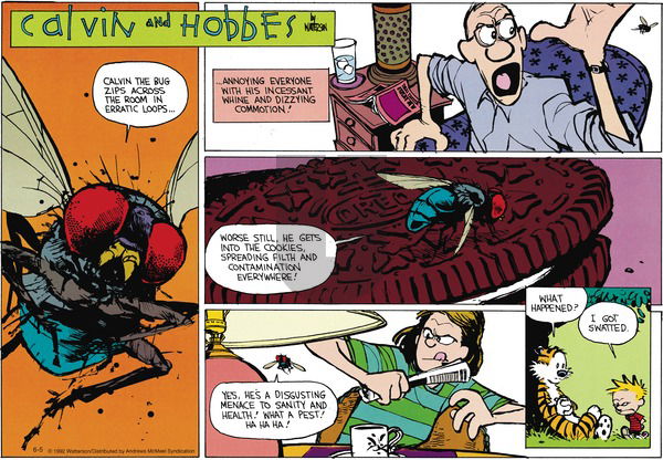Calvin and Hobbes - Sunday June 5, 2022 Comic Strip