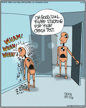 The Flying McCoys on Wednesday November 18, 2015 Comic Strip