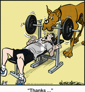 Marmaduke on Friday August 19, 2016 Comic Strip